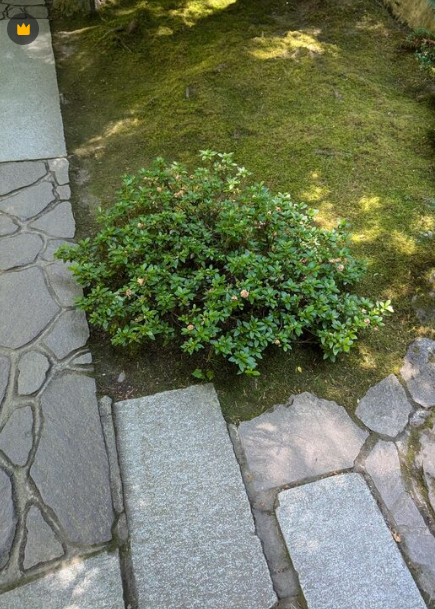 植栽