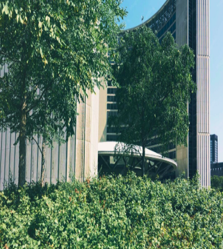 建物と植栽が調和する庭